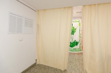 fot. Katerina Kouzmitcheva